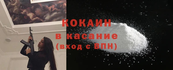 гидра Галич
