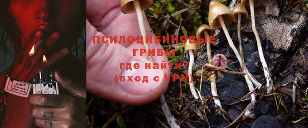 PSILOCYBIN Козловка